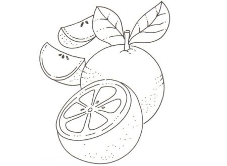 Апельсин раскраска для детей