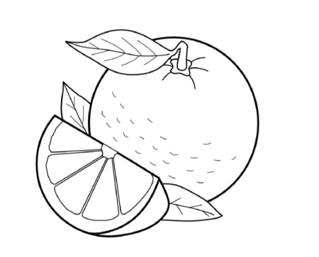 Мандарин раскраска для малышей