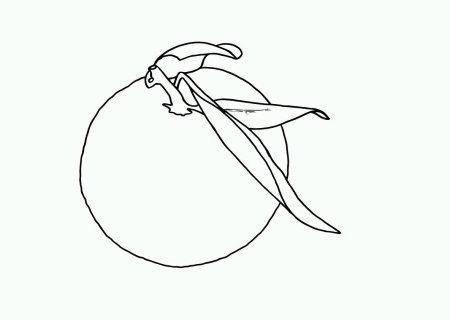 Трафарет мандаринки