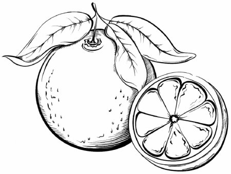 Апельсин штриховка