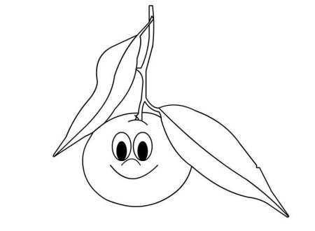 Мандарин раскраска для детей