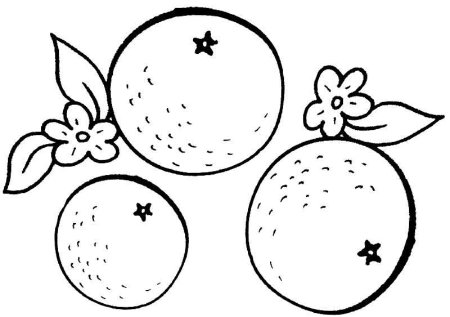 Апельсин раскраска для детей