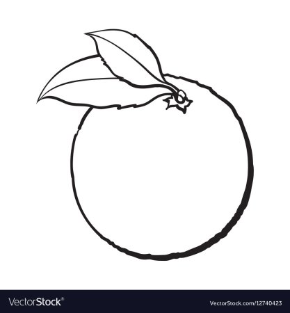 Апельсин для детей черно белая