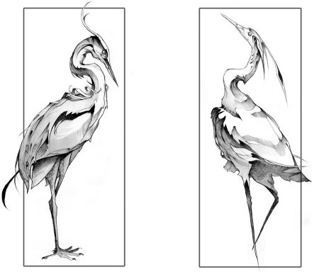 Журавль эскиз