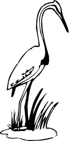 Цапля для раскрашивания