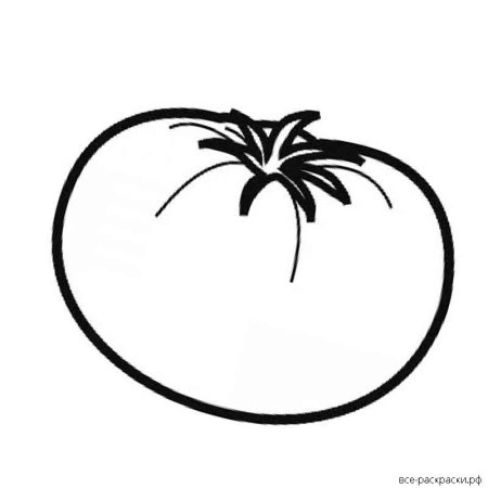 Помидор раскраска для малышей