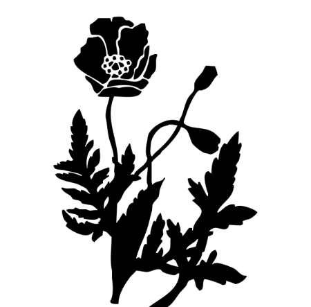 Мак раскраска для детей