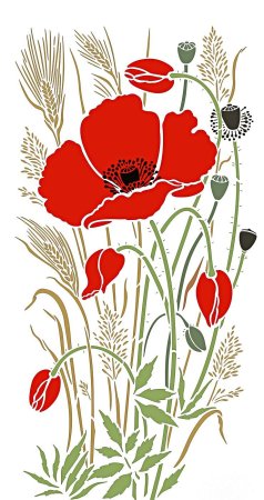 Мак рисунок