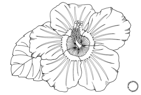 Трафареты маков для декора