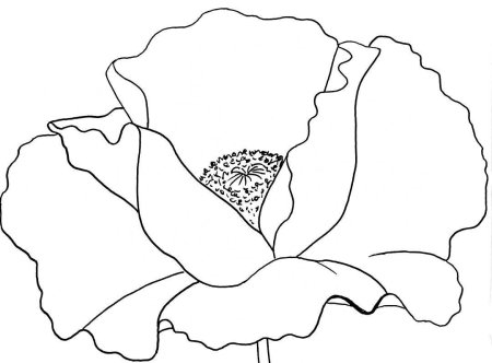 Трафареты маков