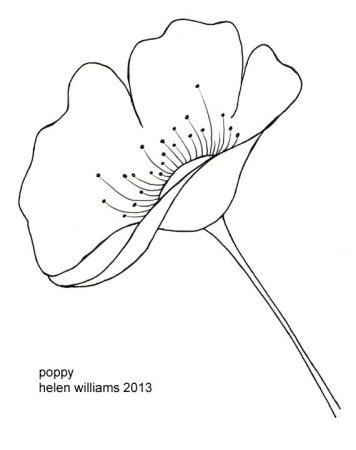 Пион тонколистный контур