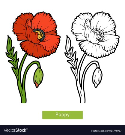 Трафареты цветов для рисования на ткани