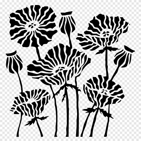 Раскраска маки цветы