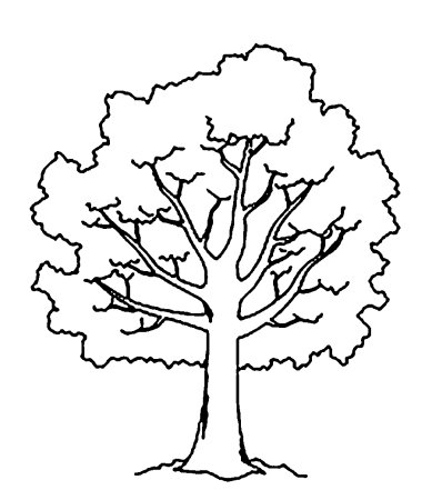 Контур дерева для аппликации