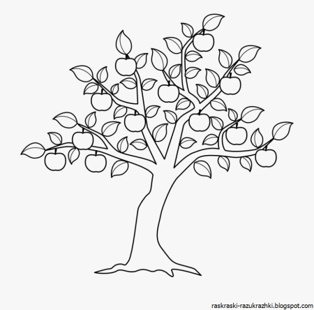 Контур кроны дерева