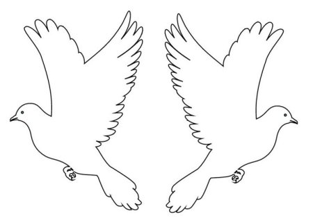 Голуби на 9 мая