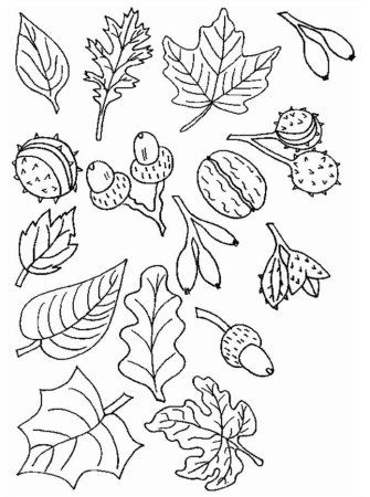 Трафареты на тему осень