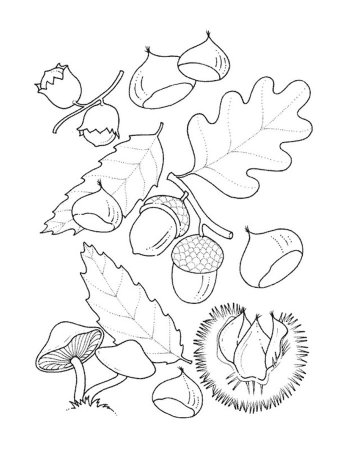 Раскраска. Осень