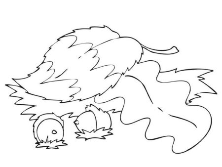 Орех раскраска для детей