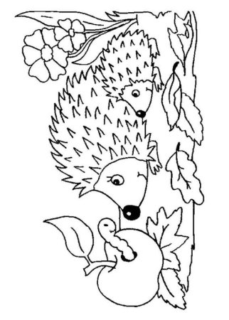 Дары осени раскраски для детей