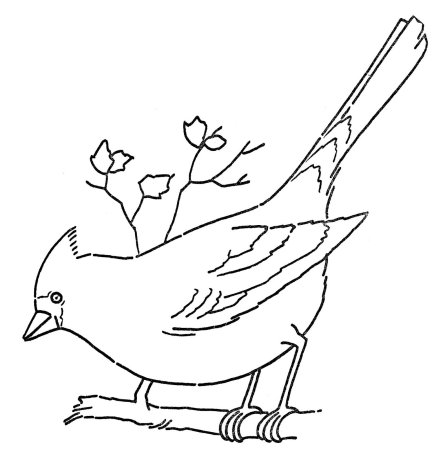 Птицы. Раскраска
