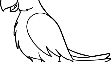Раскраска попугай