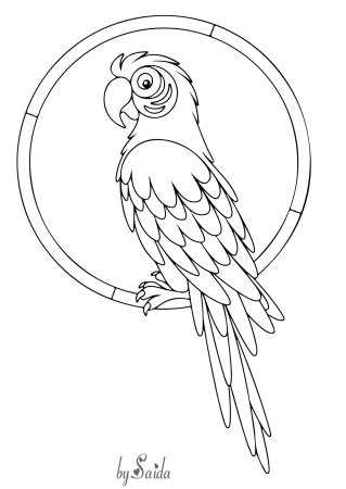 Ожереловый попугай раскраска