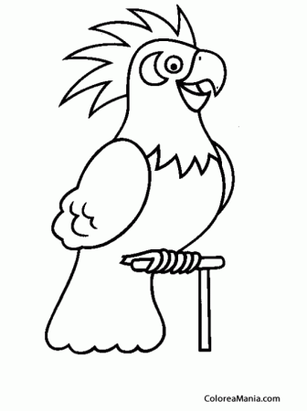 Раскраска попугай