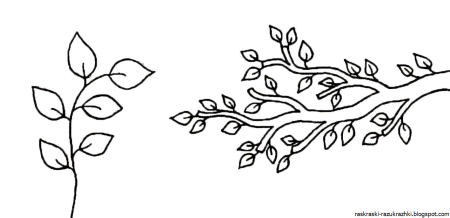 Лавровая ветвь