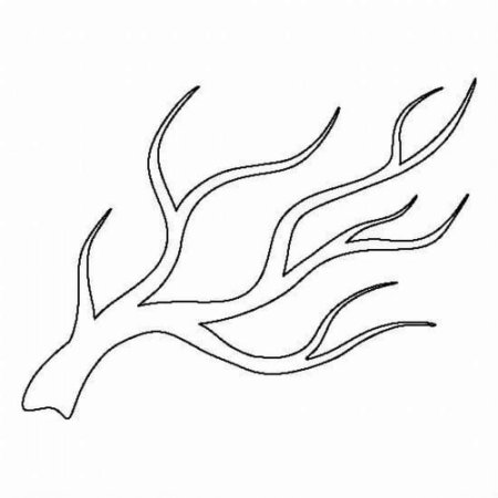 Веточки для рисования