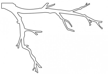 Ветка Сакуры тату эскиз