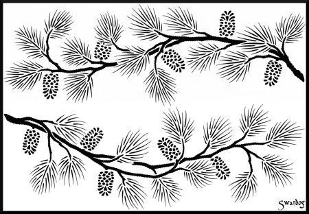 Мимоза раскраска для детей