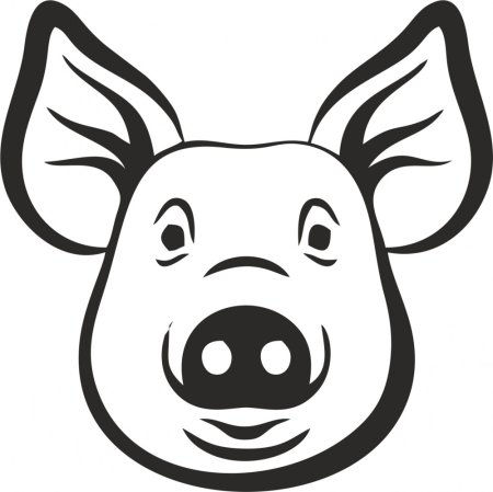 Морда свинки