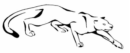 Пантера контур