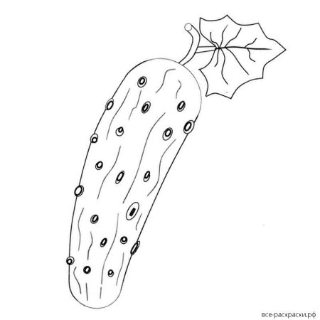 Огурец раскраска
