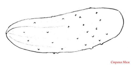 Огурец контурное изображение