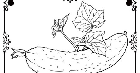 Огурец раскраска для детей 2-3 лет