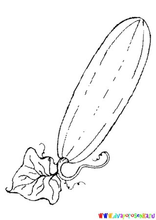 Огурец раскраска для детей