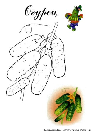 Нарисовать огурец