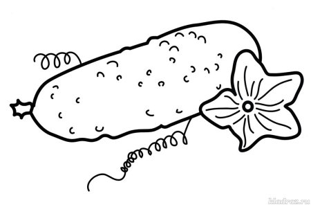 Огурец раскраска