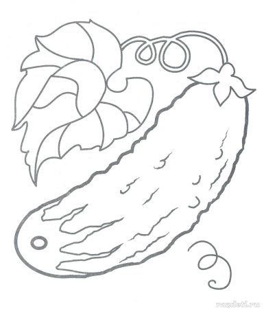 Огурец шаблон