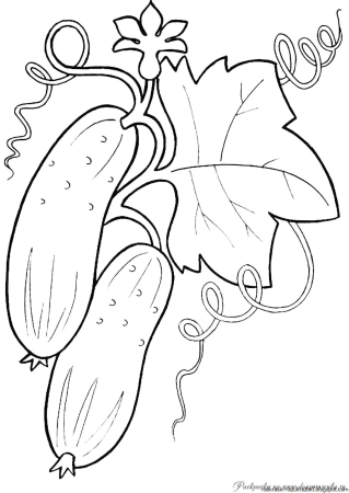 Огурец контурный рисунок