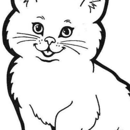 Раскраска кот