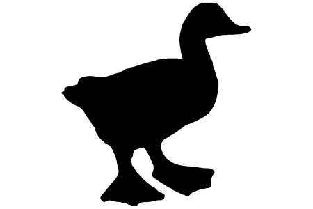 Очертание утки