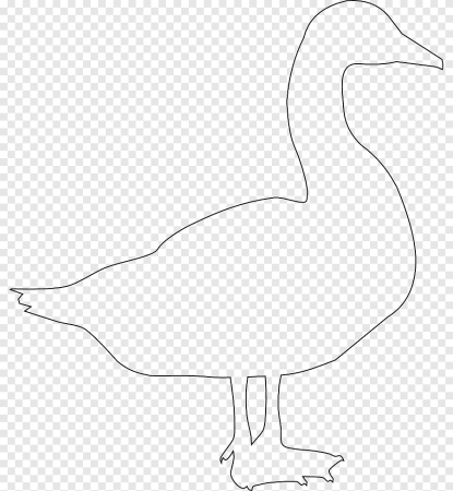 Очертание гуся