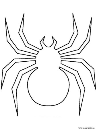 Паук раскраска