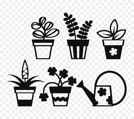 Цветы в горшках