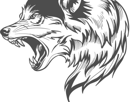 Морда волка Графика