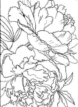 Трафарет пионы для рисования