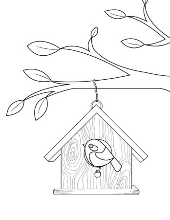 Кормушка для птиц раскраска